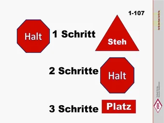 Sitz - 1 Schritt vorwärts Steh - 2 Schritte vorwärts Sitz - 3 Schritte vorwärts Platz