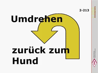 Umdrehen – Zurück zum Hund
