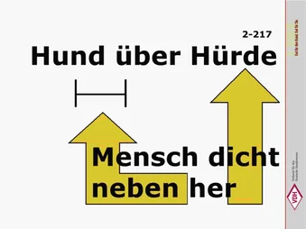 Hund über Hürde – Mensch dicht nebenher