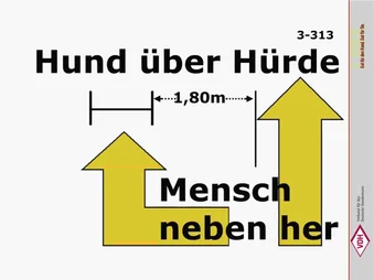 Hund über Hürde – Mensch neben her