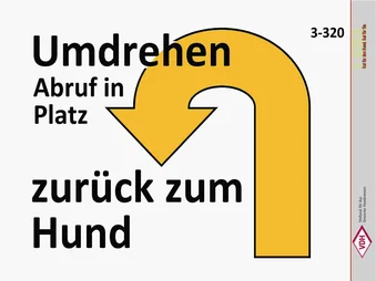 Umdrehen – Abruf in Platz – Zurück zum Hund