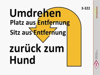 Umdrehen – Platz aus Entfernung – Sitz aus Entfernung – zurück zum Hund