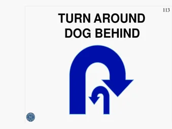 Turn Around, Dog Behind