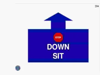 STOP, DOWN, SIT