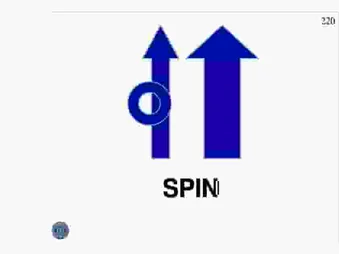 SPIN