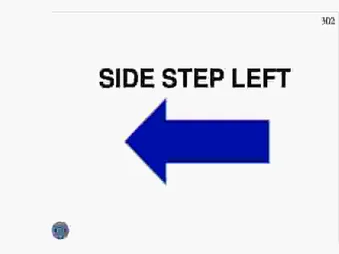SIDE STEP LEFT