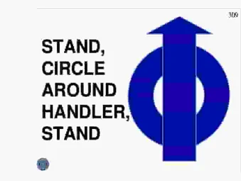 STAND, CIRCLE AROUND HANDLER, STAND