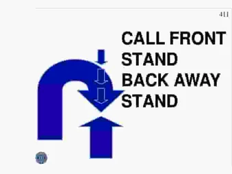 CALL FRONT STAND, BACK AWAY, STAND, WALK FORWARD, RECALL