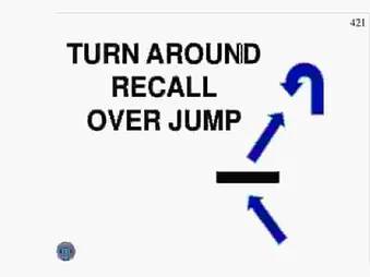 TURN AROUND, RECALL OVER JUMP WITH DIRECTIONS