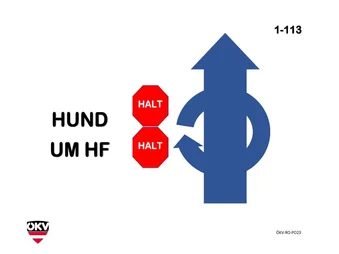 Halt-Hund umrundet HF - Halt