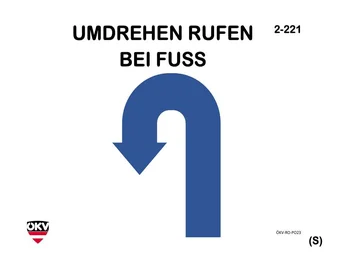 Umdrehen - Abrufen bei Fuß