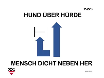 Hund über Hürde - Mensch dicht nebenher