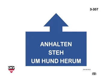 Anhalten Steh - Um Hund herum