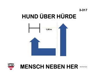 Hund über Hürde - Mensch nebenher
