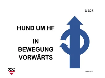 Hund um HF in Bewegung vorwärts